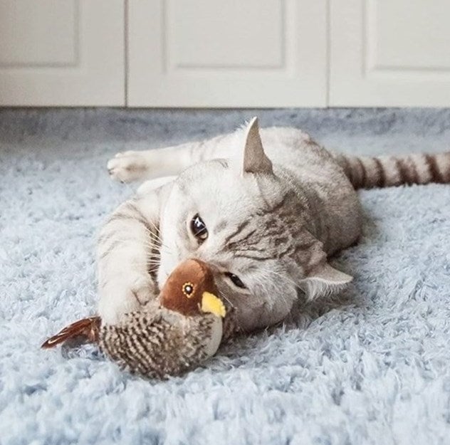 🔥Last Day Promotion - 49% OFF🎁 😻Interactive Chirping Bird Cat Toy